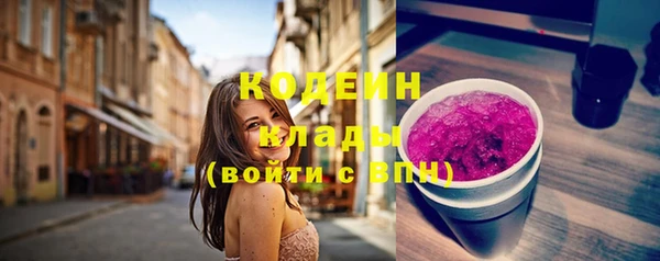 мдпв Осташков